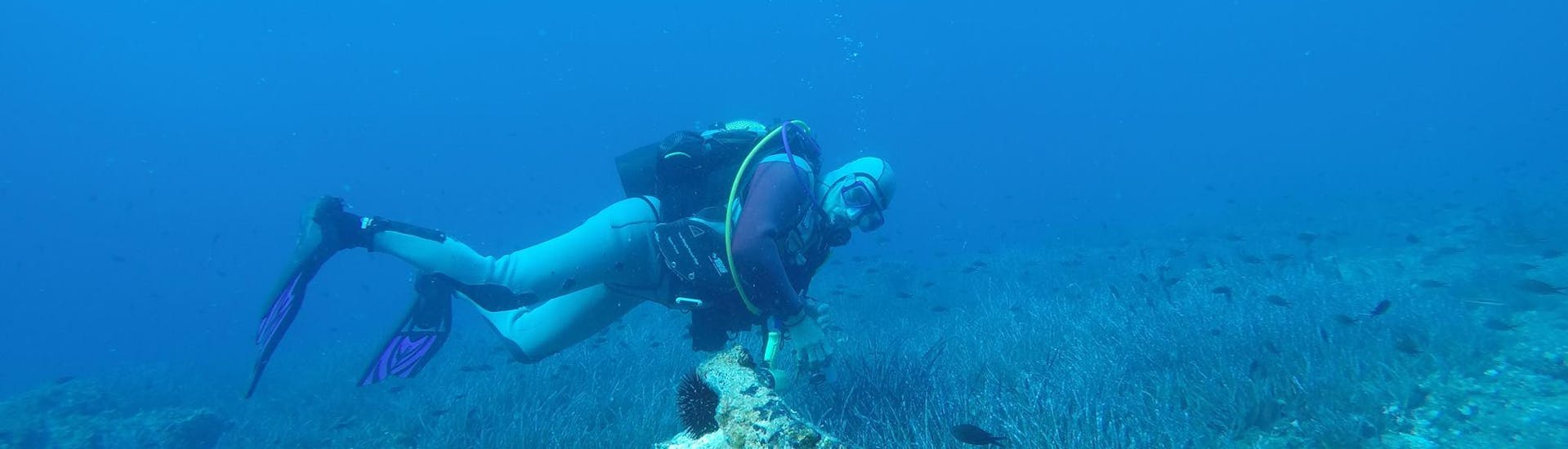 Plongée d'exploration à Korčula (town) pour Plongeurs certifiés.