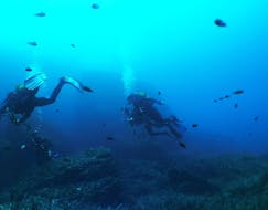Immagine di due persone durante un'immersione a Porto Cristo con Skualo Diving Watersports Mallorca.