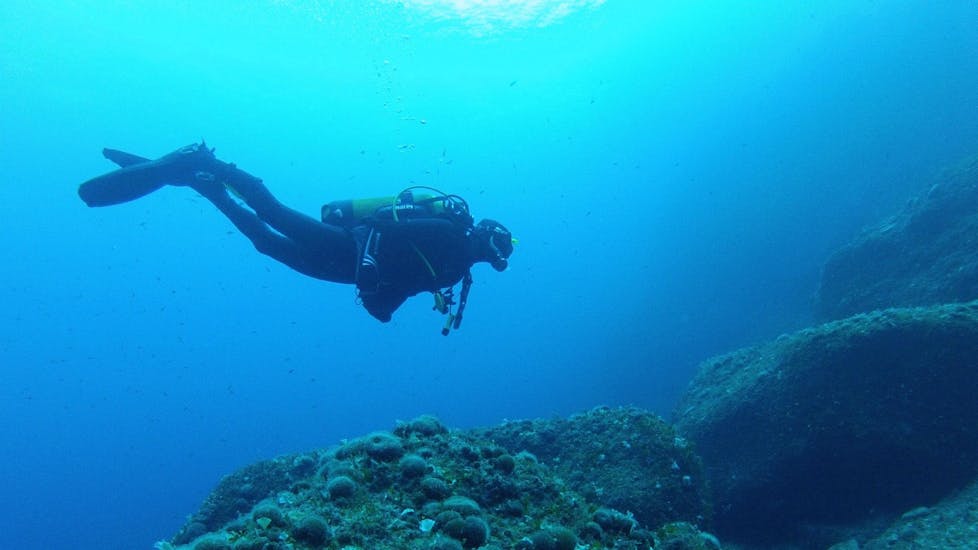 PADI Discover Scuba Diving in Gozo, Malta.