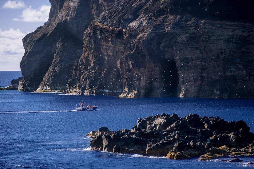 Gita in barca da Horta a Vulcão dos Capelinhos con osservazione della fauna selvatica.