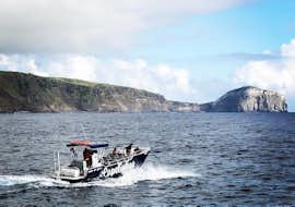 Paseo en barco de Horta a Vulcão dos Capelinhos con avistamiento de fauna con Pure Adventure Azores Paseo en barco de Horta a Vulcão dos Capelinhos con avistamiento de fauna con Pure Adventure Azores.