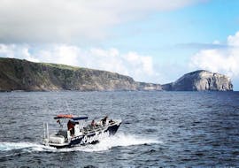  Boat Tour from Horta - &quot;Capelinhos Ocean Tours&quot; with Pure Adventure Azores