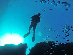 Curso de buceo (PADI) en Qala para principiantes con Blue Waters Dive Cove Gozo.