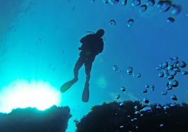 Scuba Duikcursus (PADI) in Qala voor beginners met Blue Waters Dive Cove Gozo.