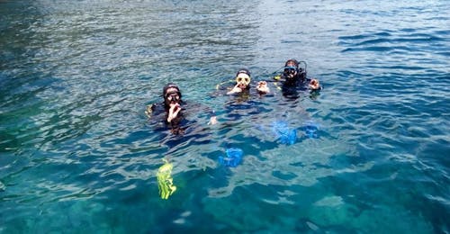 Immersioni guidate a Sesimbra per sub certificati con Haliotis Sesimbra Immersioni guidate a Sesimbra per sub certificati con Haliotis Sesimbra.