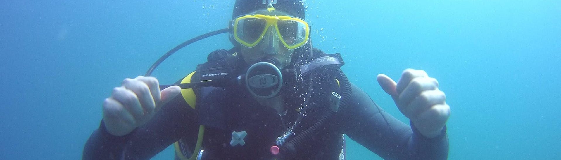 Ein Taucher unter Wasser während des Scuba Diver Kurses mit Haliotis Sesimbra.