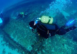 PADI Advanced Open Water Diver Tauchkurs in Sesimbra mit Haliotis Sesimbra Taucher unter Wasser beim Advanced Open Water Kurs mit Haliotis Sesimbra.