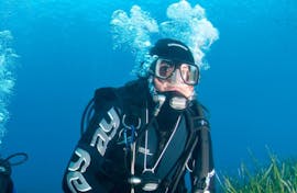A diver is underwater for his Trial Scuba Diving in Saint-Tropez  with European Diving School.