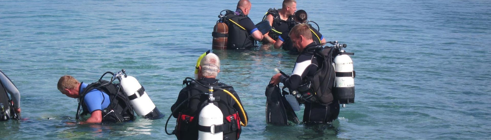 Immersioni di prova a Coral Bay (Peyia) per principianti.