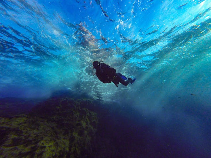 Corso PADI Open Water Diver per principianti a Bugibba, Malta.