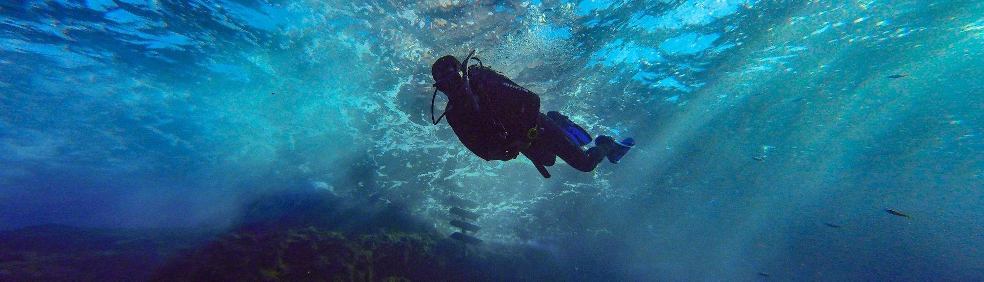 PADI Open Water-Diver-Kurs für Anfänger in Bugibba, Malta.