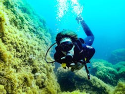 PADI Open Water Diver Course for Beginners in Bugibba, Malta from Corsair Diving Malta.