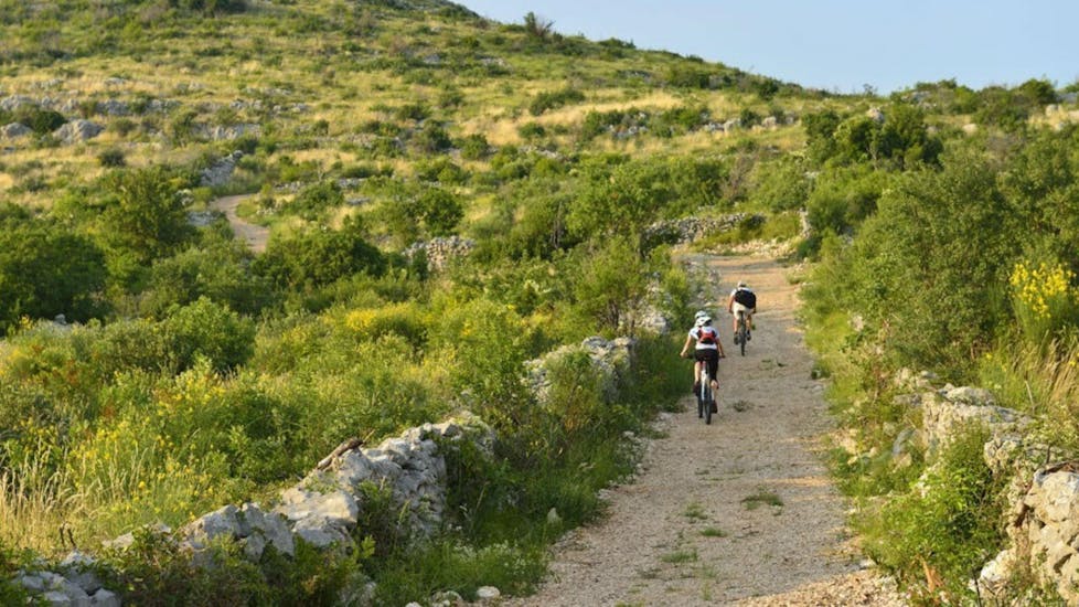 Escursione in mountain bike a Vodizze.