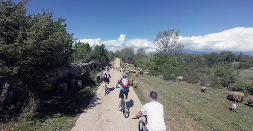 Excursión en bicicleta de montaña por la isla de Murter - Fácil a media con Karika Vodice Foto de los participantes de la excursión en bicicleta de montaña en la isla de Murter - Fácil a Media con Karika Vodice.