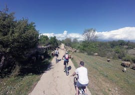 Foto de los participantes de la excursión en bicicleta de montaña en la isla de Murter - Fácil a Media con Karika Vodice.