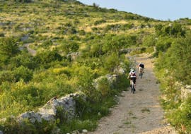 Foto de la excursión en bicicleta de montaña al lago Vrana - Medio con Karika Vodice.