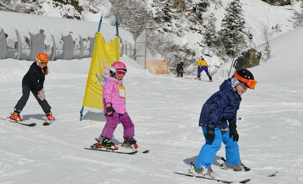 Kids Ski Lessons (4-11 y.) for All Levels - Half Day