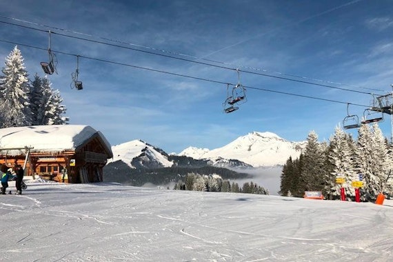 Ski Private Instructor Afternoons for Adults/Children