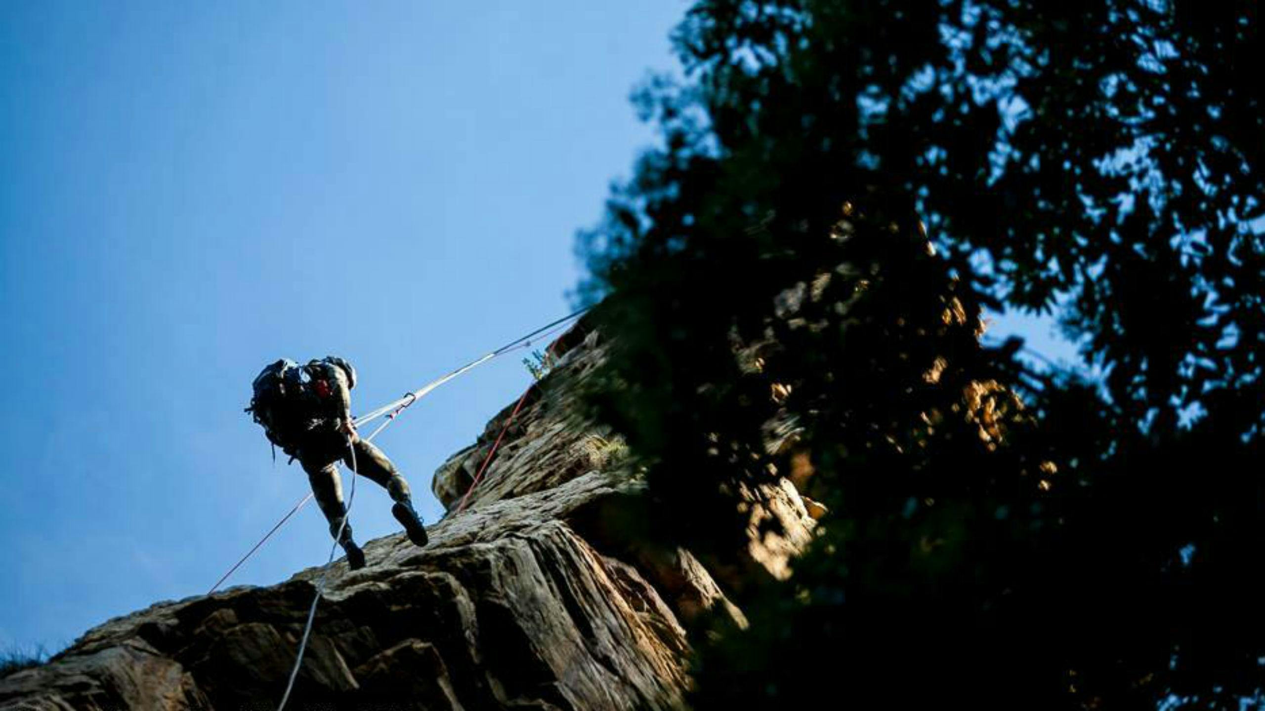 Via Ferrata in The Crags from AfriCanyon Plettenberg Bay.