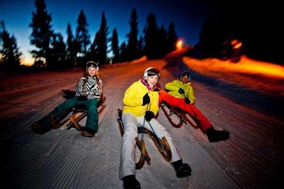 Interlaken - Night Sledding