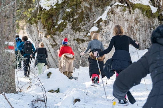 Winter Alpine Adventure with Snowshoeing and Sledding