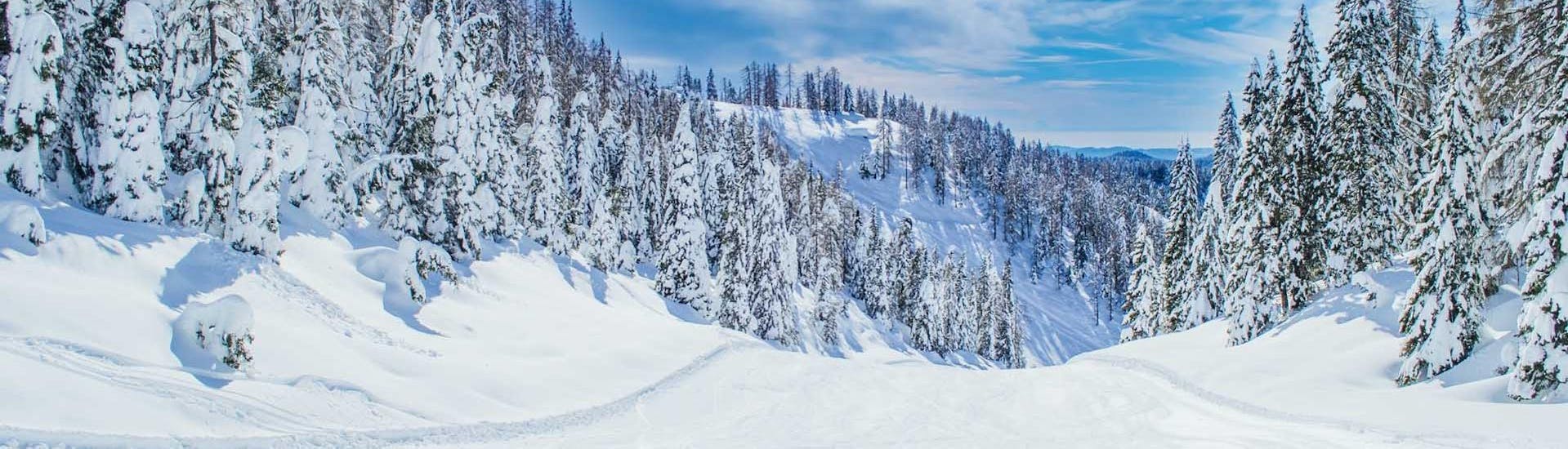 Privé skilessen voor volwassenen voor alle niveaus.
