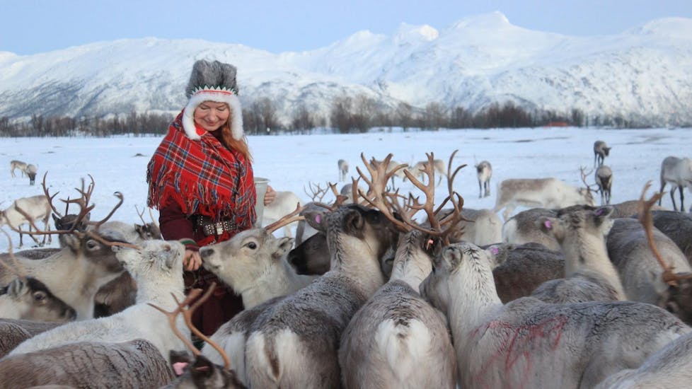 Una donna sami in abiti tradizionali dà da mangiare alle renne durante l'esperienza con le renne e loro nutrimento in un campo Sami a Tromsø con by Tromso Arctic Reindeer.