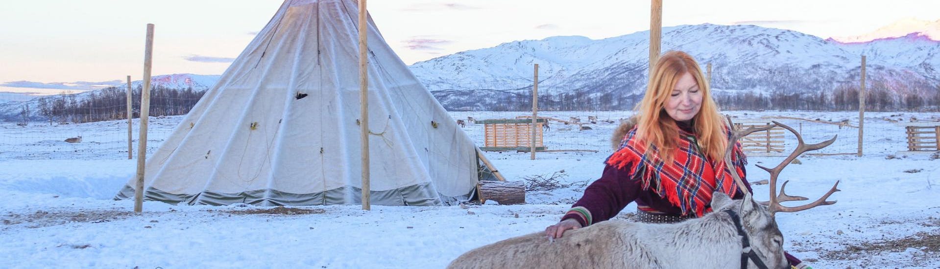 Eine Frau in traditioneller Sami-Tracht füttert vor dem Start des Programs Abend im Sami Camp mit Rentierfütterung in Tromsø die Rentiere im Rentierlager von Tromsø Arctic Reindeer.