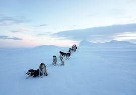 Andere activiteiten vanaf 8 jaar - beginners met Nanouak Dogsledding Norway