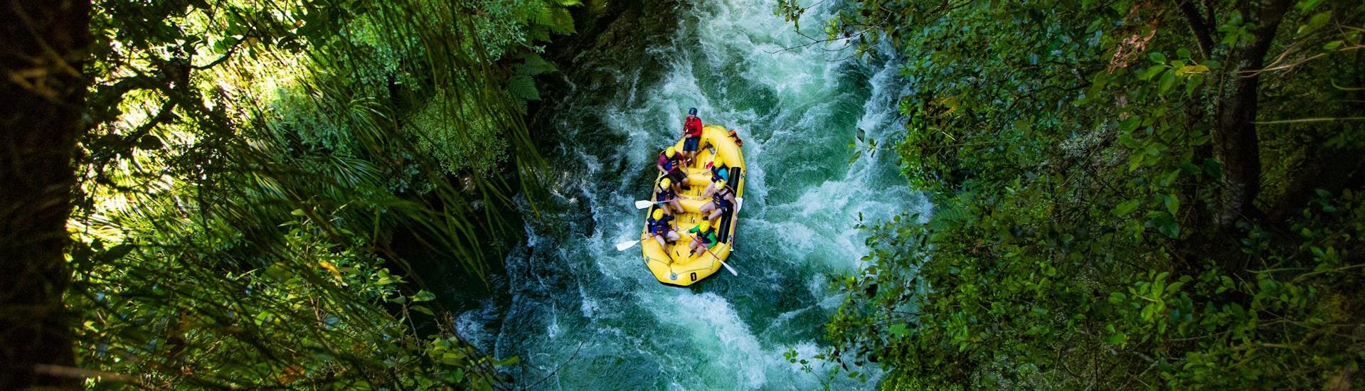 A raft is floating through the beautiful green landscape of an ancient native forest during Rafting on Kaituna River in Okere Falls with Rotorua Rafting.