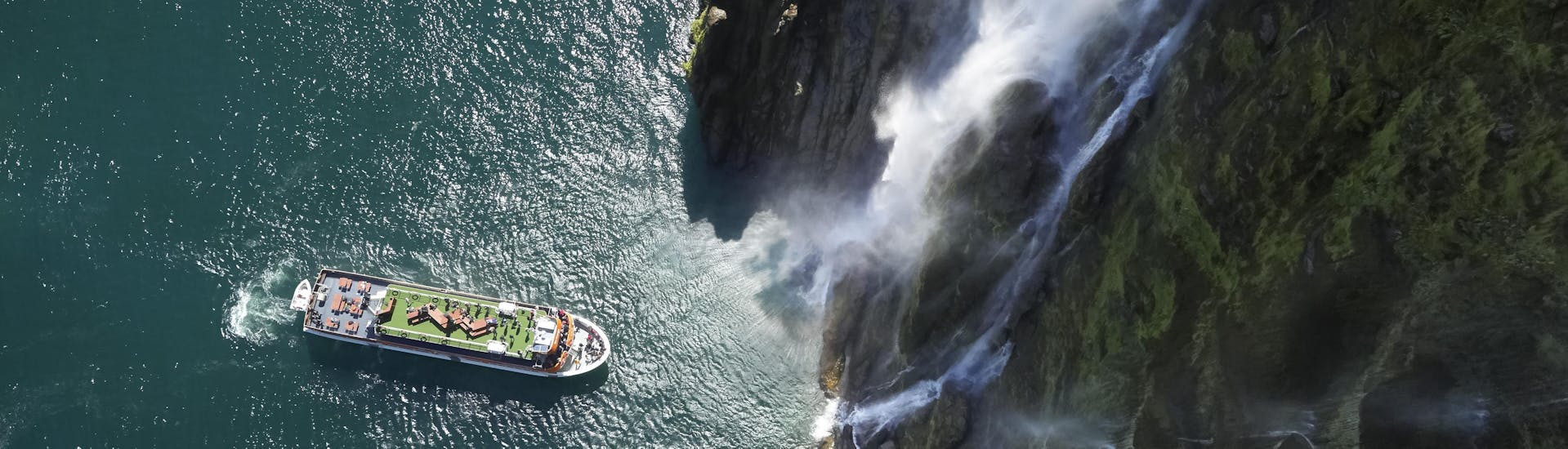 Paseo en barco a Milford Sound Fjord con avistamiento de fauna & visita guiada.