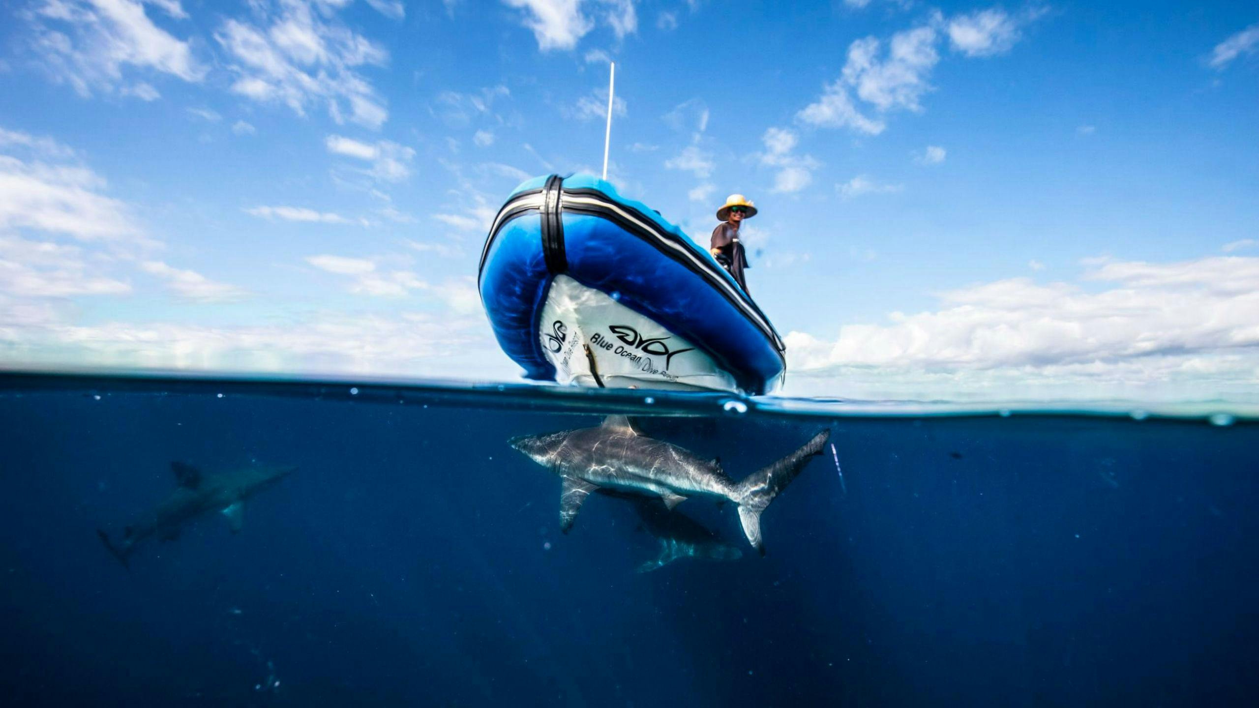 Snorkeling.