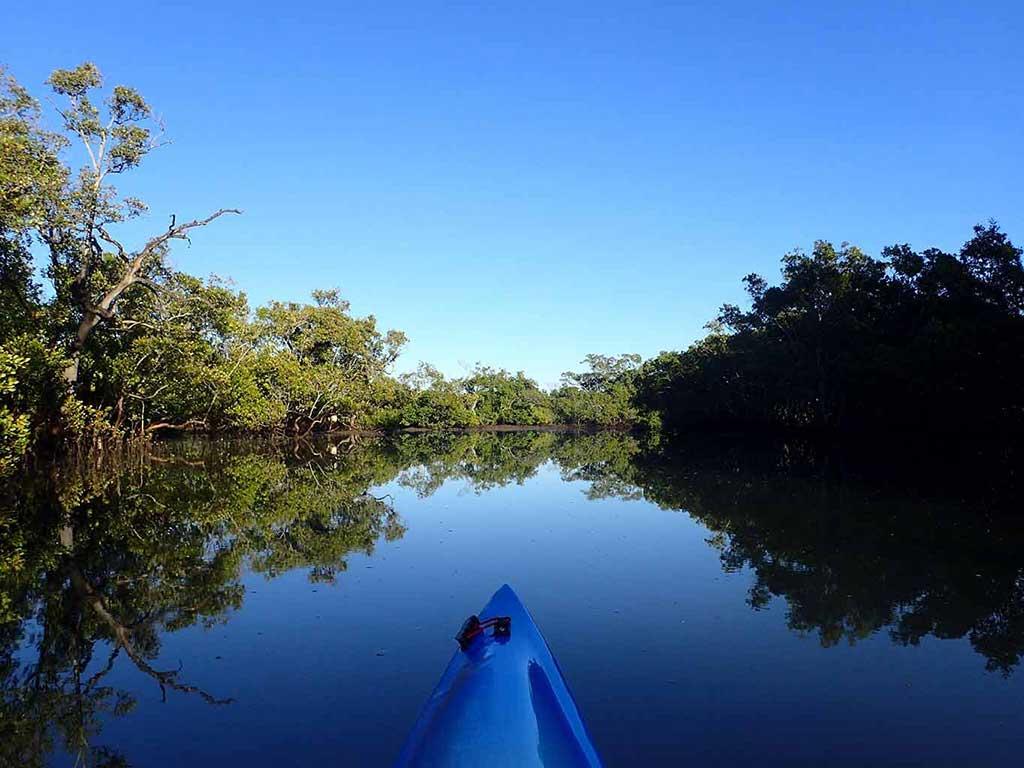 Kayaking in Tingalpa Creek in Brisbane Kayak Fun Brisbane