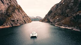 Bootstour von Svolvær mit Angeln & Wildtierbeobachtung mit Pukka Travels Tromsø & Svolvær