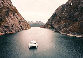 Our catamaran sailing through the Trollfjord pass during our Arctic Boat Tour Safari to the Trollfjord in Lofoten with Pukka Travels