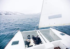 Gita in barca da Tromsø a Tromsø con pesca e osservazione della fauna selvatica.