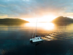 Gita in barca da Tromsø con osservazione della fauna selvatica e tramonto con Pukka Travels Tromsø & Svolvær