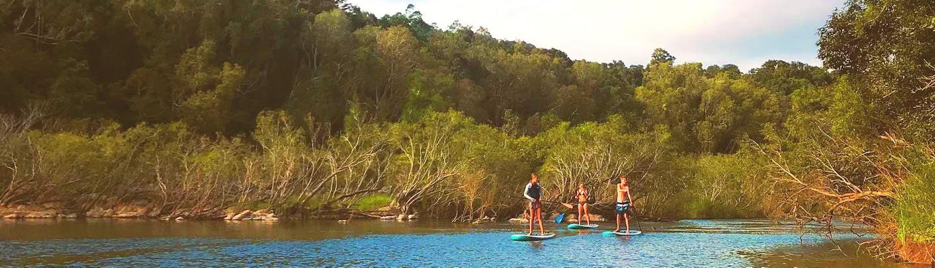 rainforest-stand-up-paddle-boarding-in-cairns-pacific-watersports