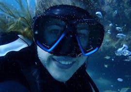 During the Discover Scuba Diving in Gold Coast - Wave Break Island, a girl is exploring the marine fauna and flora under the guidance of an experienced dive instructor from Gold Coast Dive Centre.