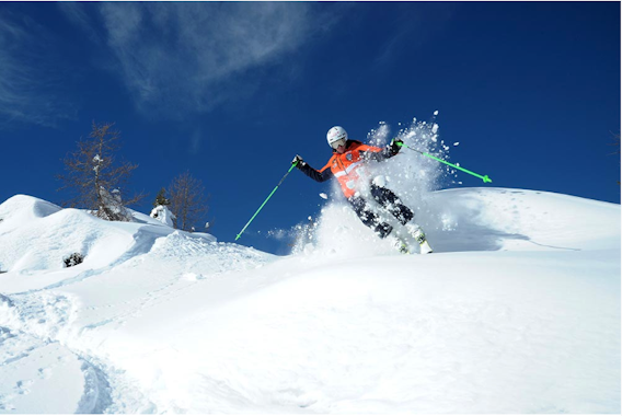 Passo San Pellegrino-Falcade - Private Ski Lessons for Adults of All Levels - Holidays