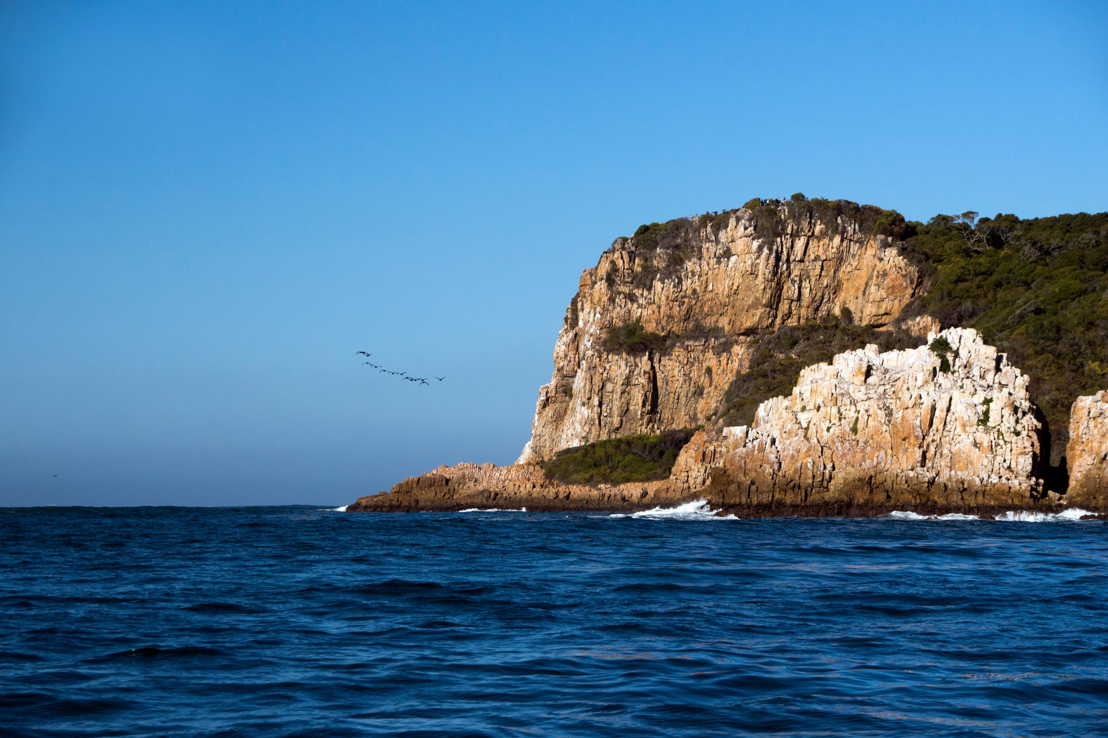 Boat Tour from Knysna Heads Adventure Ocean Odyssey Garden Route