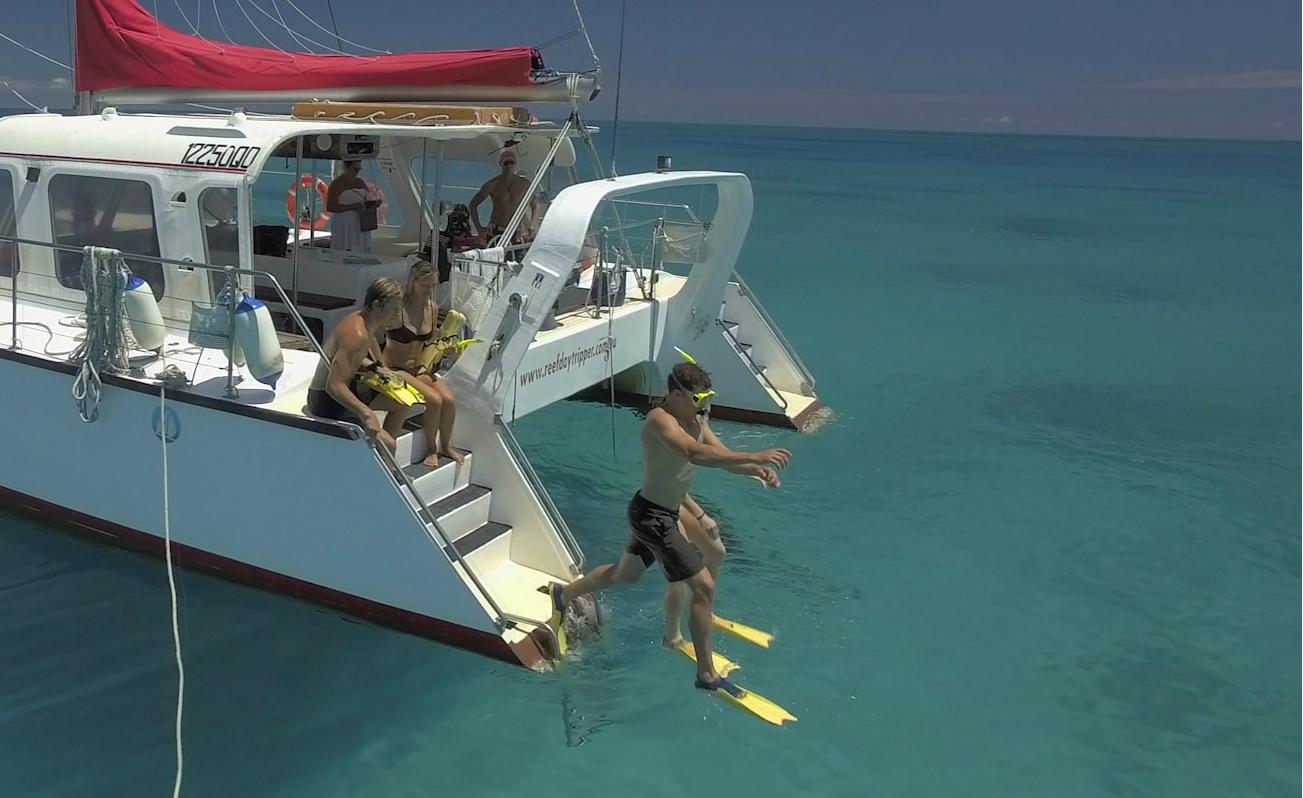 Esnórquel en Cairns con Reef Daytripper Cairns.