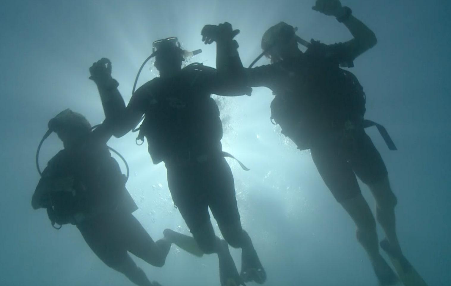 Inmersiones guiadas en Cairns para buceadores certificados con Reef Daytripper Cairns.