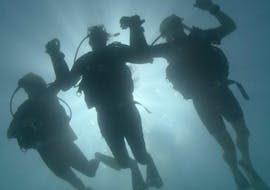 Inmersiones guiadas en Cairns para buceadores certificados con Reef Daytripper Cairns.