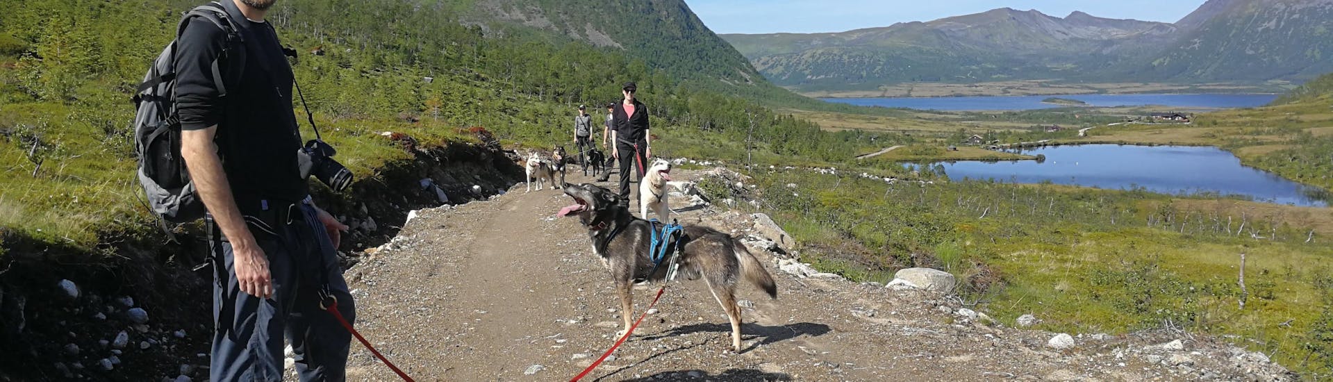 Hiking Tour with Huskies in Risøyhamn.