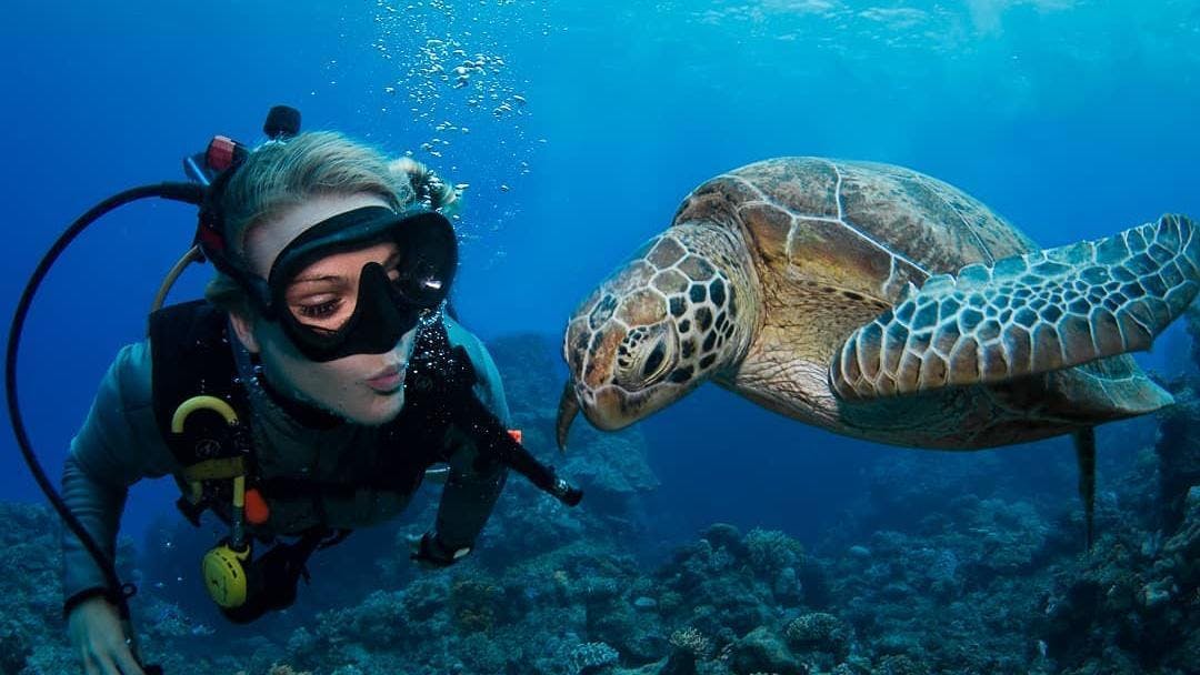 guided-dives-on-the-great-barrier-reef-for-certified-divers-passions-of-paradise-cover