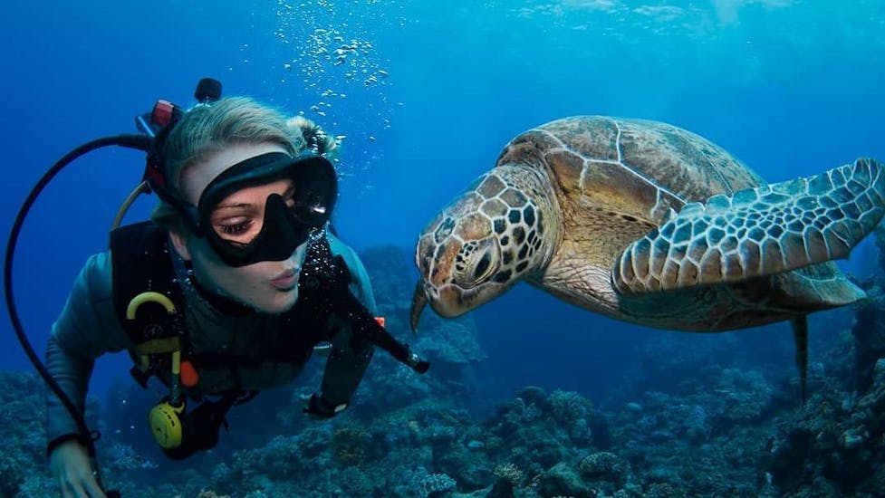 A woman is admiring a curious turtle during the Guided Dives on the Great Barrier Reef for Certified Divers organised by Passions of Paradise.