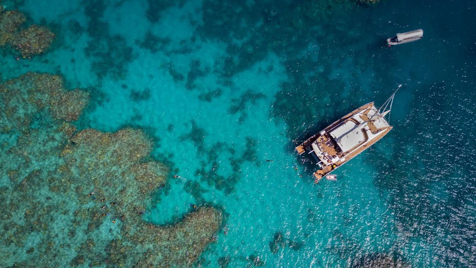 Gita in barca a Great Barrier Reef con bagno in mare.