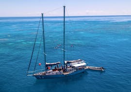 An image of the Ocean Free sailing schooner anchored in the sea during the Great Barrier Reef Snorkeling Boat Trip.