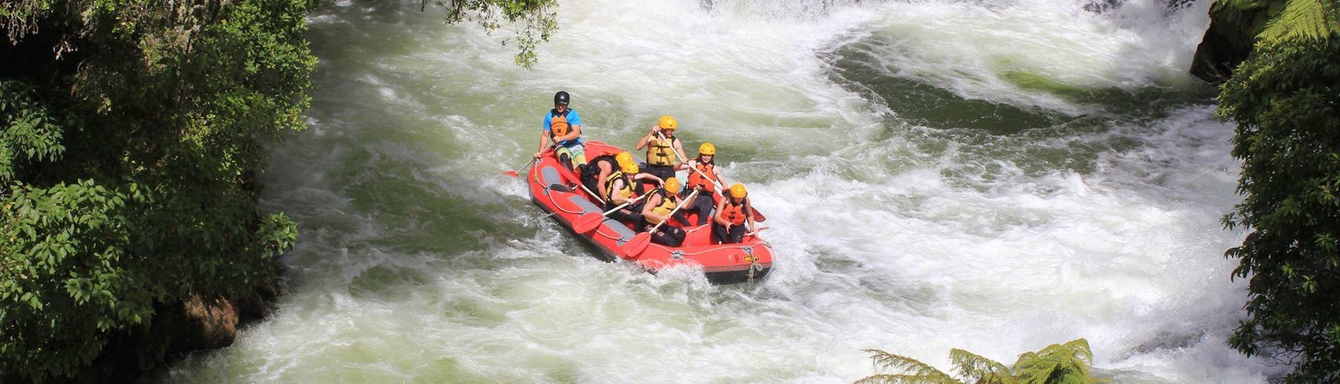 During the Kaituna River Rafting near Rotorua a group of rafters are paddling through the thundering waters of Tutea Falls together with their guide from Rafting Adventures Rotorua.